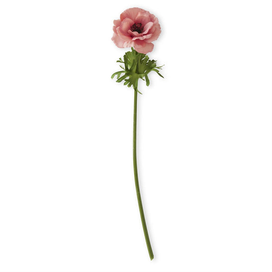Coral Buttercup Wildflower - 20.5"