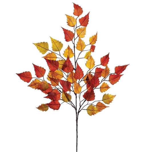 Birch Leaf Spray - BC/GR 26"