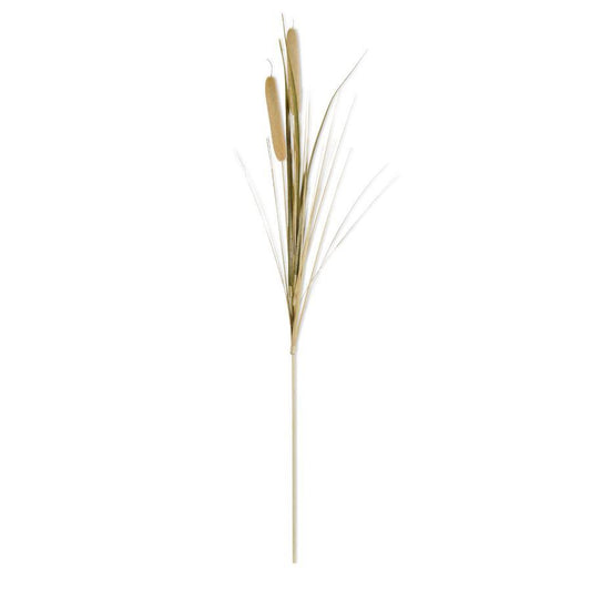 KKI Natural Double Cattail Stem 42"