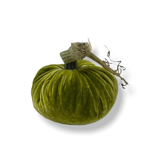 PPK Velvet Pumpkin - Chartreuse -