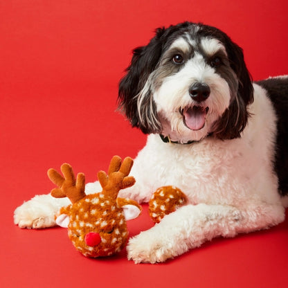 TFD Reindeer 2-in-1 Bounce Dog Toy