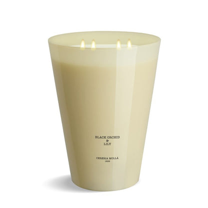 Black Orchid & Lily - 7 Wick Candle 15.4lbs