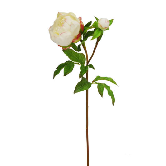 WWF Open Peony Stem w/ Bud - White 23"