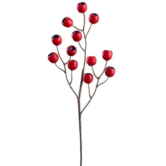 Eucalyptus Pod Spray - Red 22"