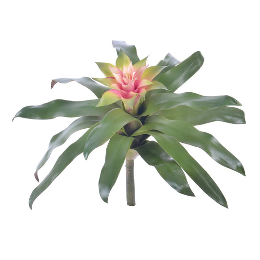 WWF Bromeliad - Mauve & Green 14"