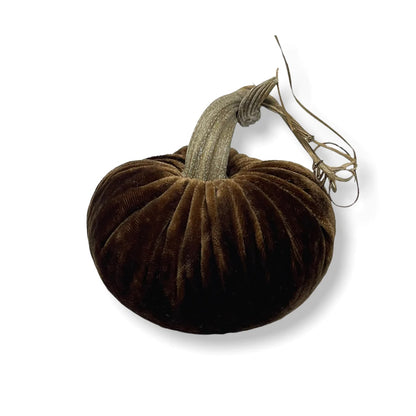 Velvet Pumpkin - Acorn
