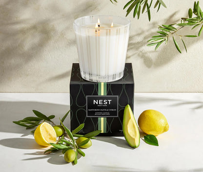 NST Santorini Olive & Citrus - 3-Wick Candle 21.2 oz