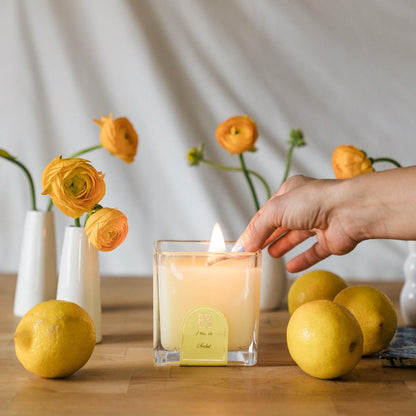 Sorbet - Cube Candle 12oz