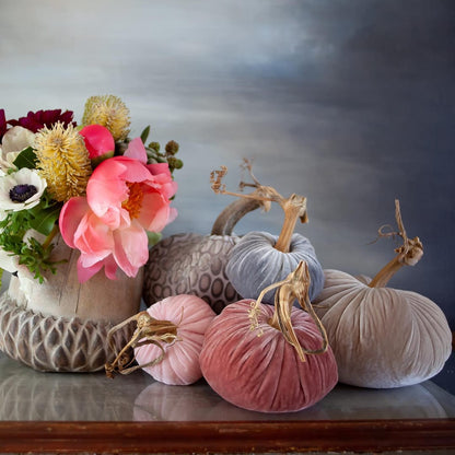 PPK Velvet Pumpkin - Apricot -