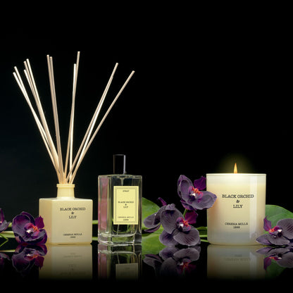 Black Orchid & Lily - Premium Candle 8oz
