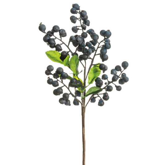 ASF Blueberry Pick 14"