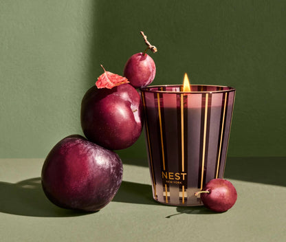 NST Autumn Plum - Classic Candle 8.1 oz.