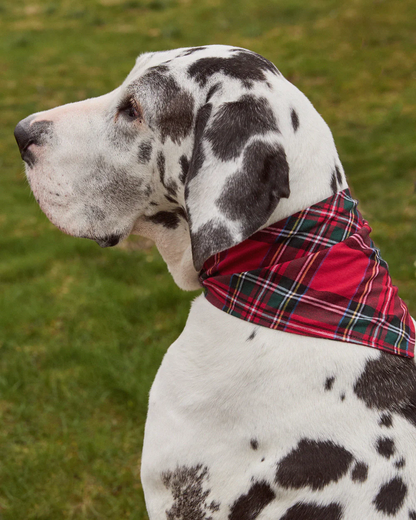 Dog Bandana - Imperial Tartan