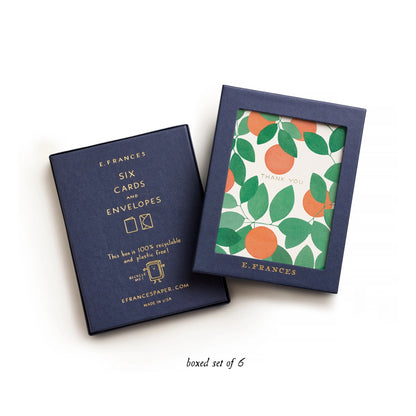 Boxed Thank You Cards - Orange Grove - 6ct