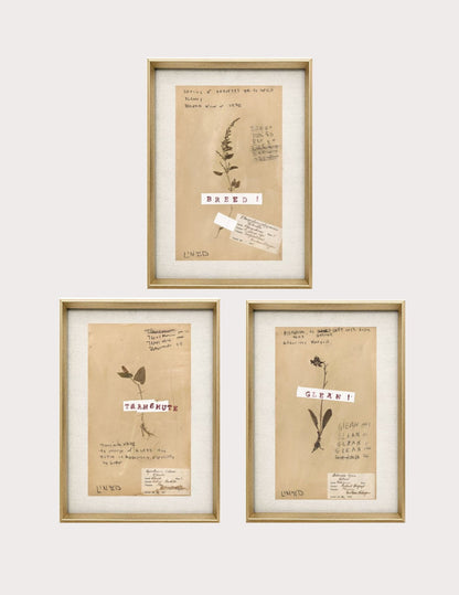 Pressed Flora: Breed (Linwood Original)