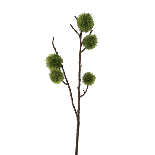 WWF Chinese Chestnut 26"