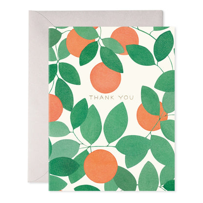 Boxed Thank You Cards - Orange Grove - 6ct