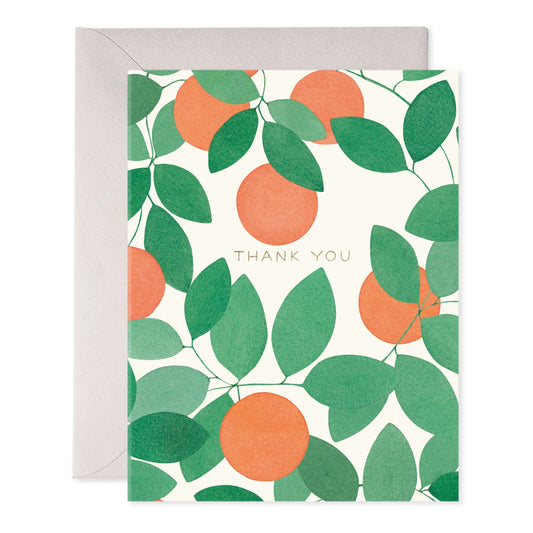 Boxed Thank You Cards - Orange Grove - 6ct