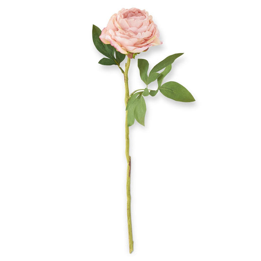 Pink Peony Stem - 27"