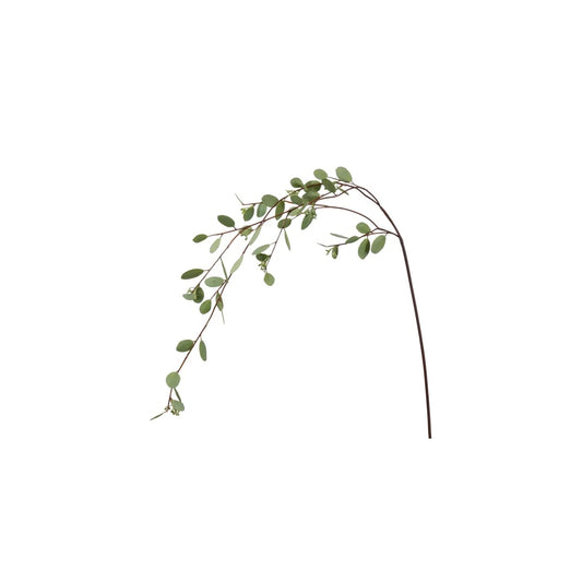 WWF Seeded Eucalyptus Long Branch 46”