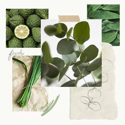 THY Eucalyptus - Pura Diffuser Refill