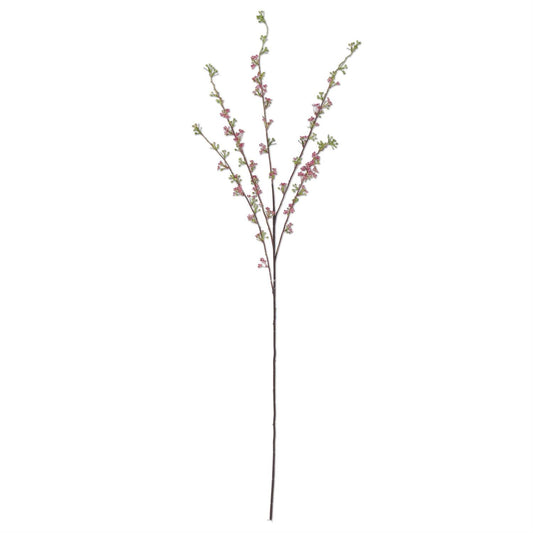 Pink Hoary Willow Spray - 46"