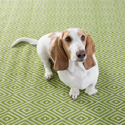 Diamond Handwoven Indoor/Outdoor Rug - Sprout & White 2x3