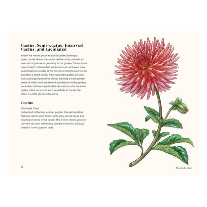Dahlias: A Little Book of Flowers