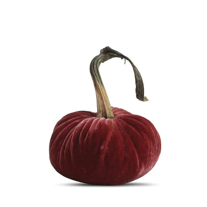 PPK Velvet Pumpkin - Pomegranate -