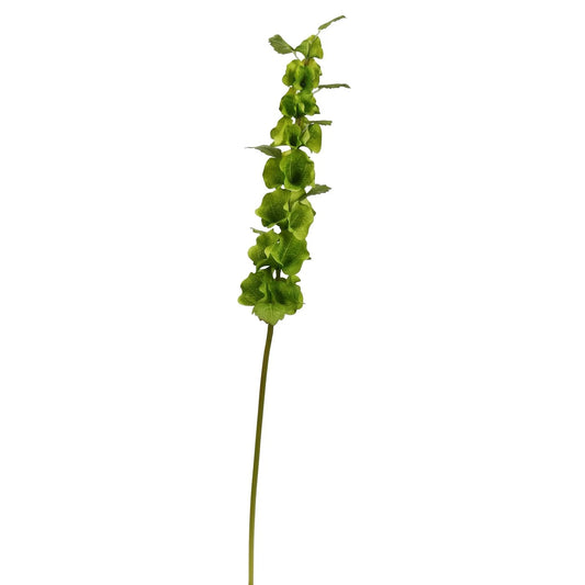 WWF Bells of Ireland - Green 29"