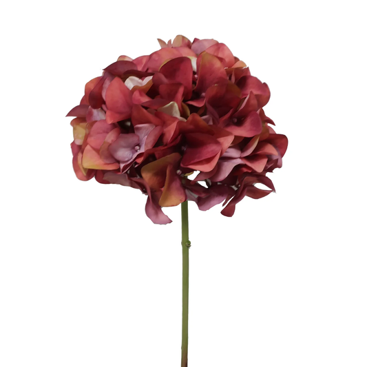Hydrangea Short Stem 20.5" - Rust