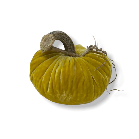 PPK Velvet Pumpkin - Butter -
