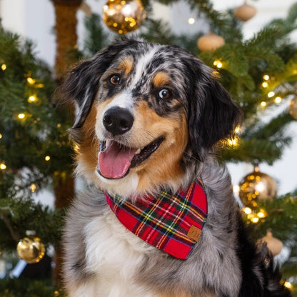 Pet Bandana - Tartan Plaid Flannel -
