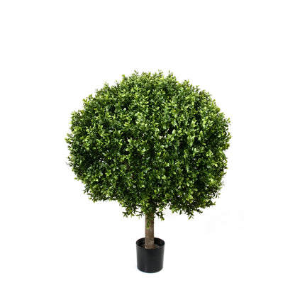 Potted New Boxwood Ball 32Dx38H