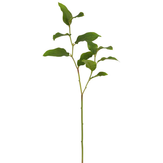 WWF Salal Leaf - Dark Green 23"