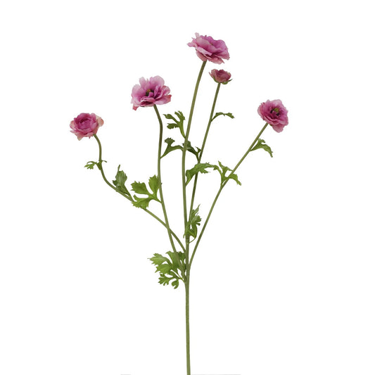 WWF Ranunculus Butterfly - Orchid Pink - 37.5"