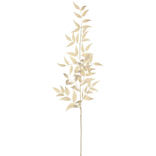 ASF Italian Ruscus Leaf Spray - Cream 36"