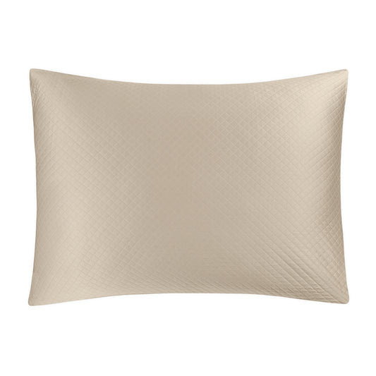 Petra - Oversize Euro Sham & Filler - Dune - 27 X 36