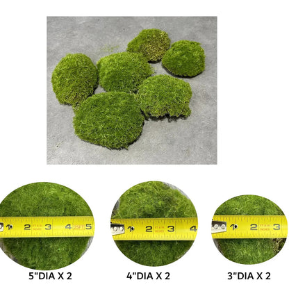 AIS Large Lifelike Assorted Moss Ball - Assorted