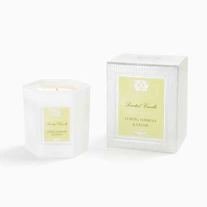 Lemon, Verbena & Cedar Candle - 9oz