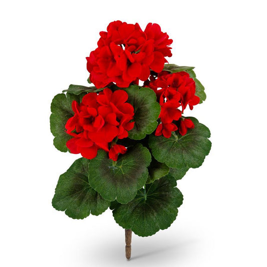 Red Geranium Bush - 15"