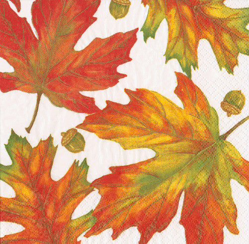 Autumn Hues White Cocktail Napkin 20pk
