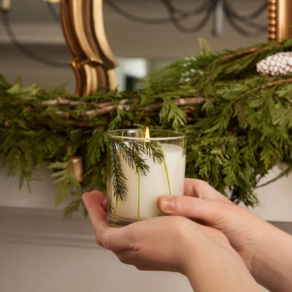 Frasier Fir - Pine Needle - Glass Candle