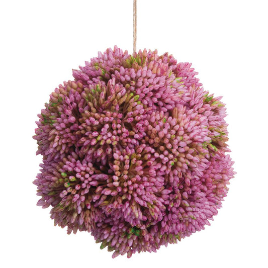 Sedum Orb - Mauve 4"