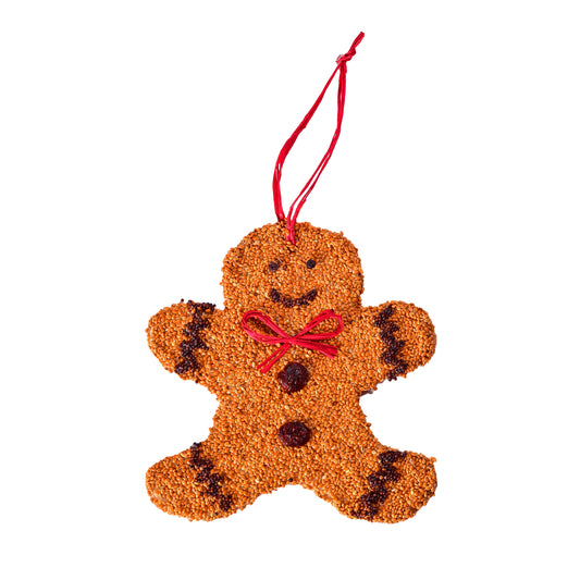 Gingerbread Man Birdseed Christmas Cookie
