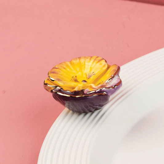 NFL Mini - Pansy Pop (Pansy Flower)