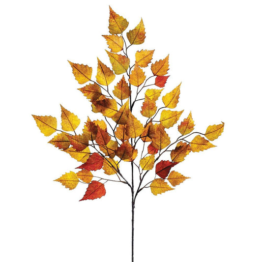 Birch Leaf Spray - MD/GR 26"
