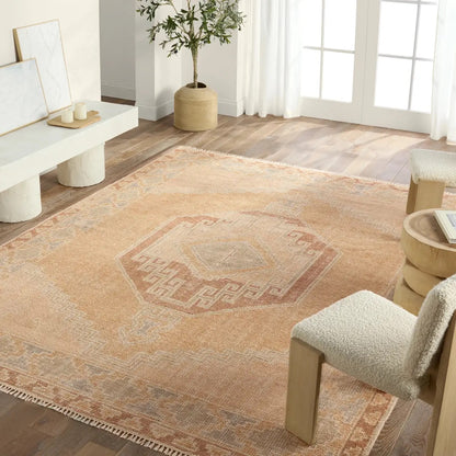 Sevak Rug - Orange - 9x12