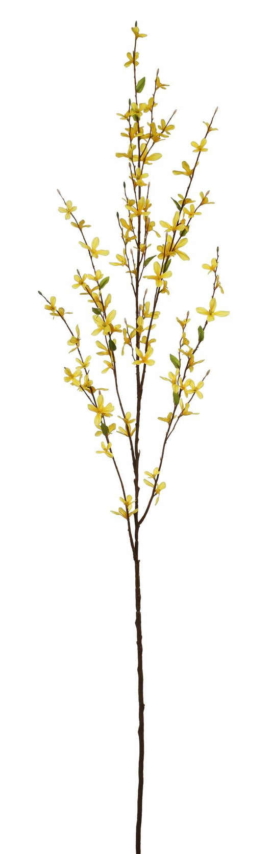 WWF Forsythia Branch - Yellow Gold 51"