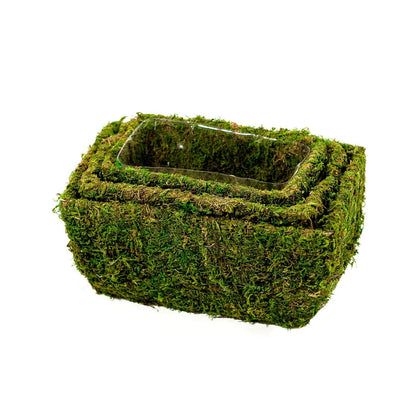 Chino Deco Moss Basket - Medium